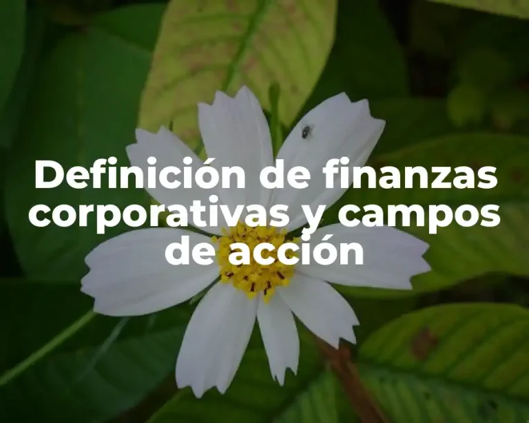 Definición de finanzas corporativas y campos de acción