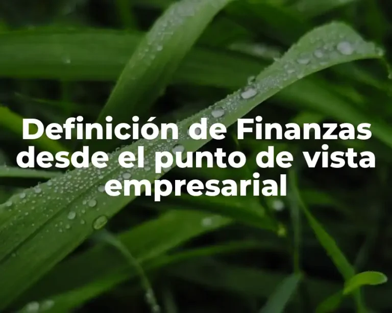 Definición de Finanzas desde el punto de vista empresarial