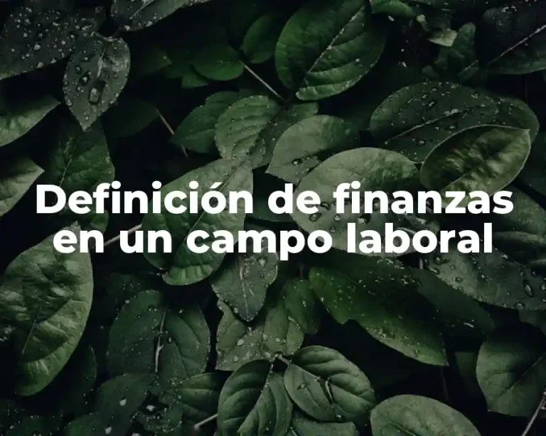 Definición de finanzas en un campo laboral