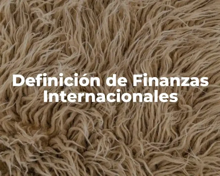 Definición de Finanzas Internacionales