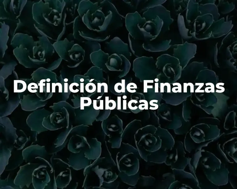 Definición de Finanzas Públicas