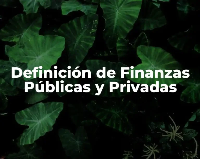 Definición de Finanzas Públicas y Privadas