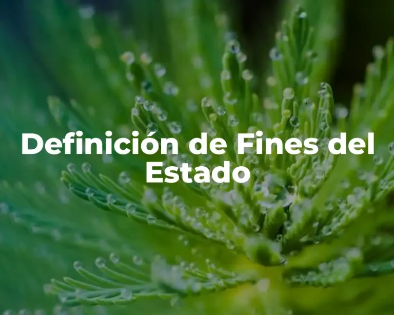 Definición de Fines del Estado