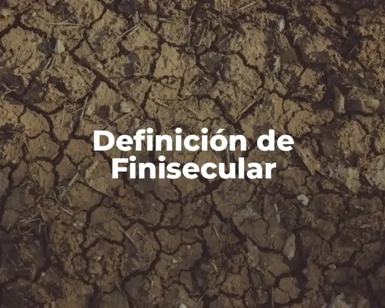 Definición de Finisecular
