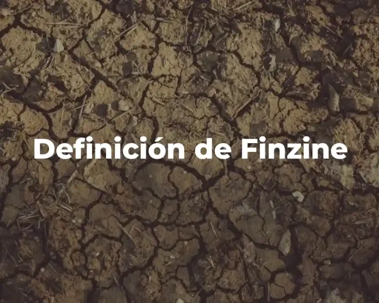 Definición de Finzine