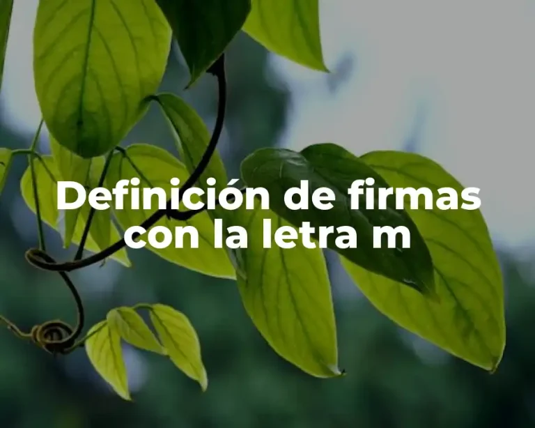 Definición de firmas con la letra m