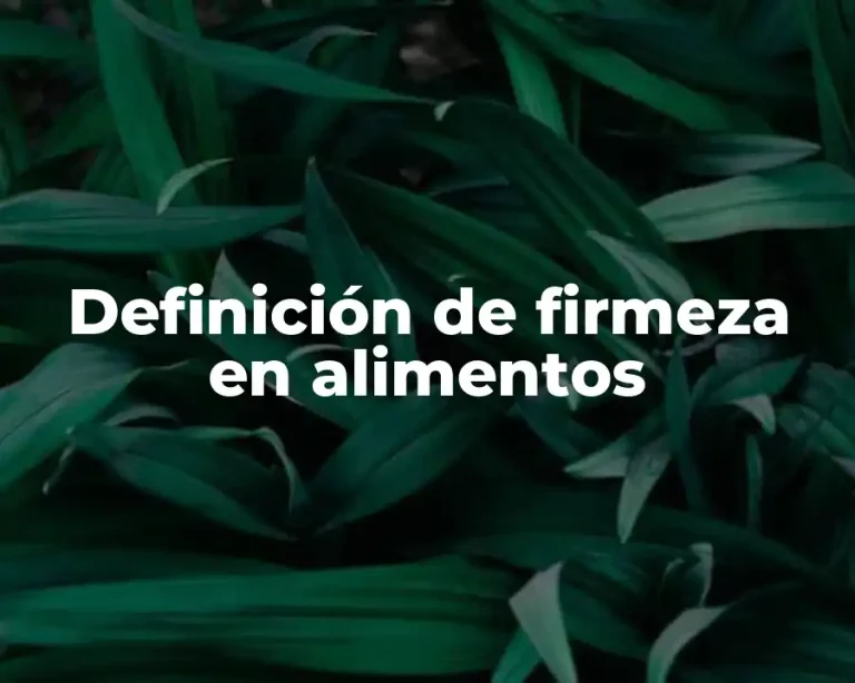 Definición de firmeza en alimentos