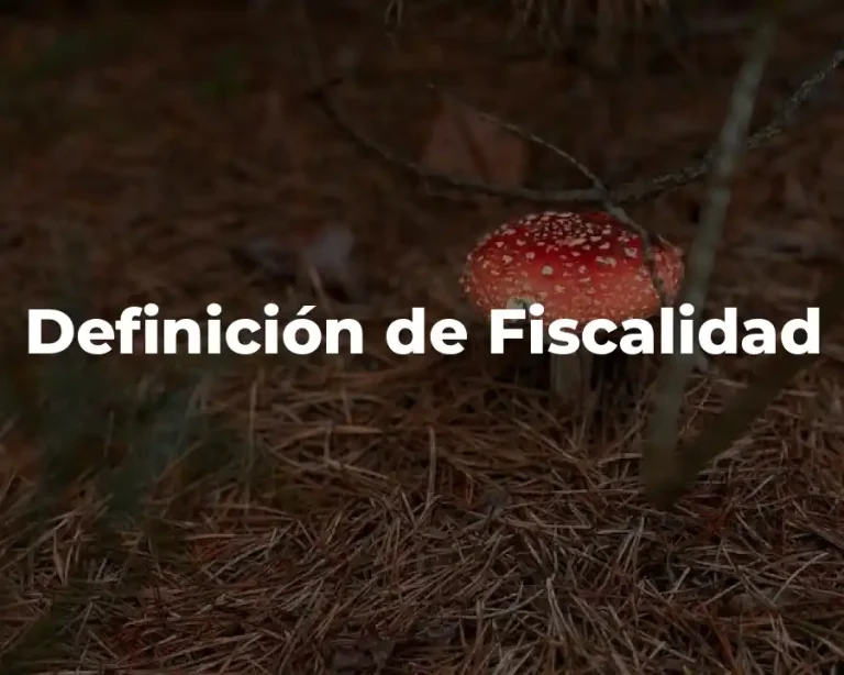Definición de Fiscalidad