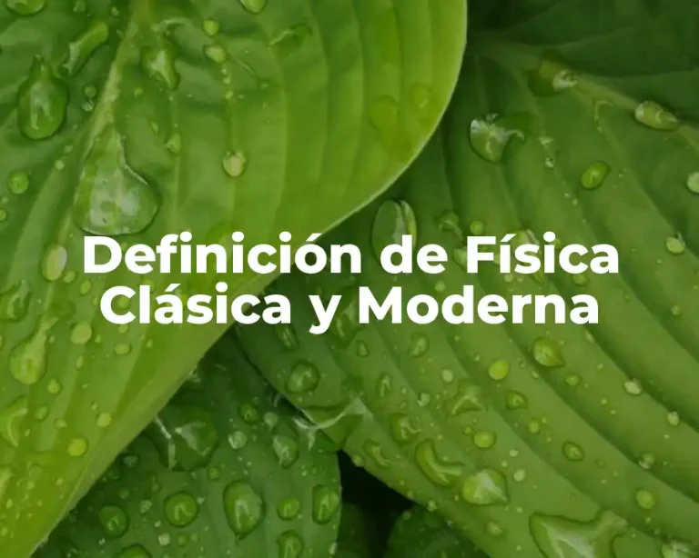 Definición de Física Clásica y Moderna