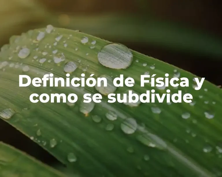 Definición de Física y como se subdivide