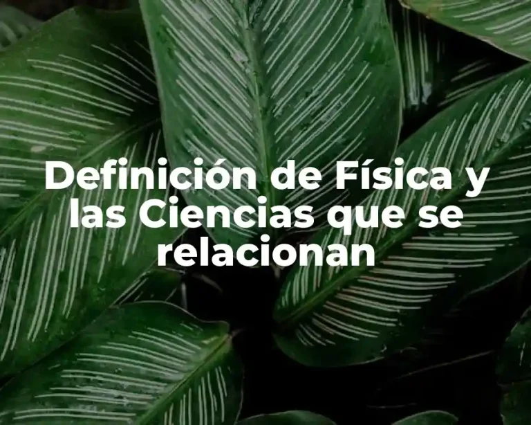 Definición de Física y las Ciencias que se relacionan