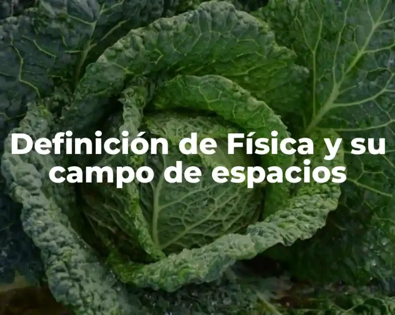 Definición de Física y su campo de espacios