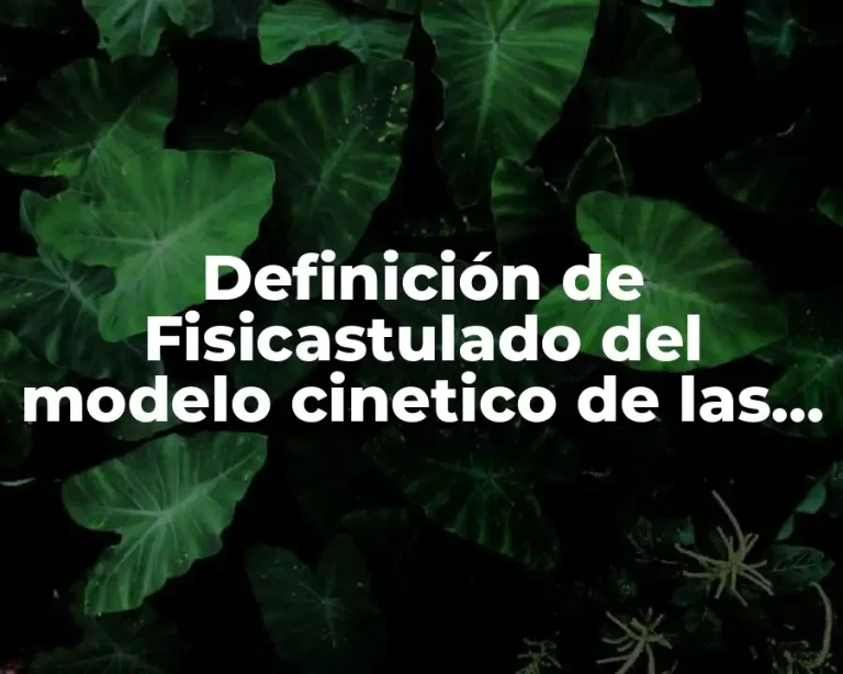 Definición de Fisicastulado del modelo cinetico de las partículas