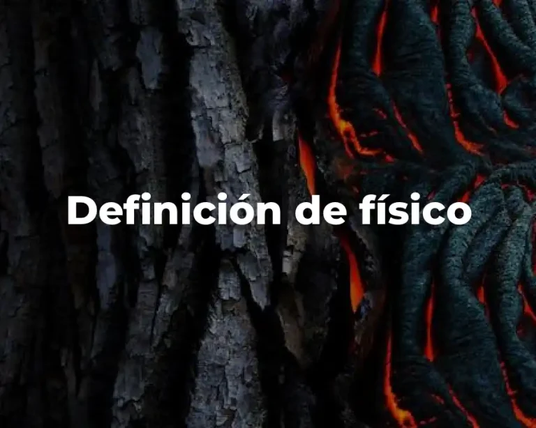 Definición de físico