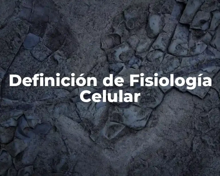 Definición de Fisiología Celular