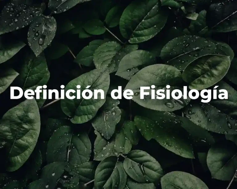 Definición de Fisiología