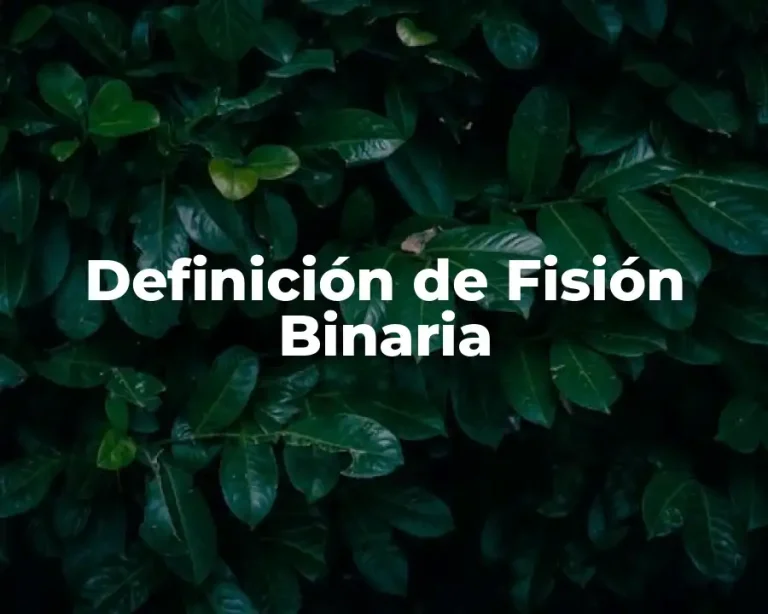 Definición de Fisión Binaria