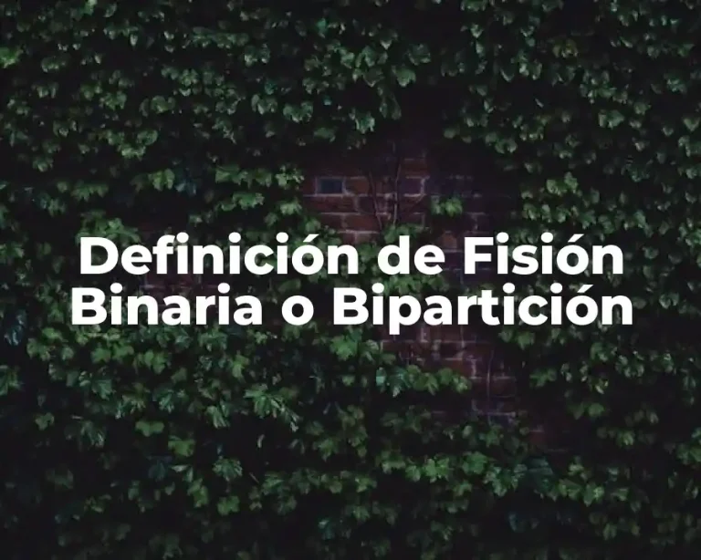 Definición de Fisión Binaria o Bipartición