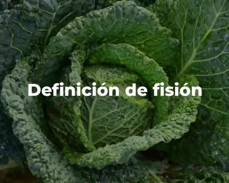 Definición de fisión