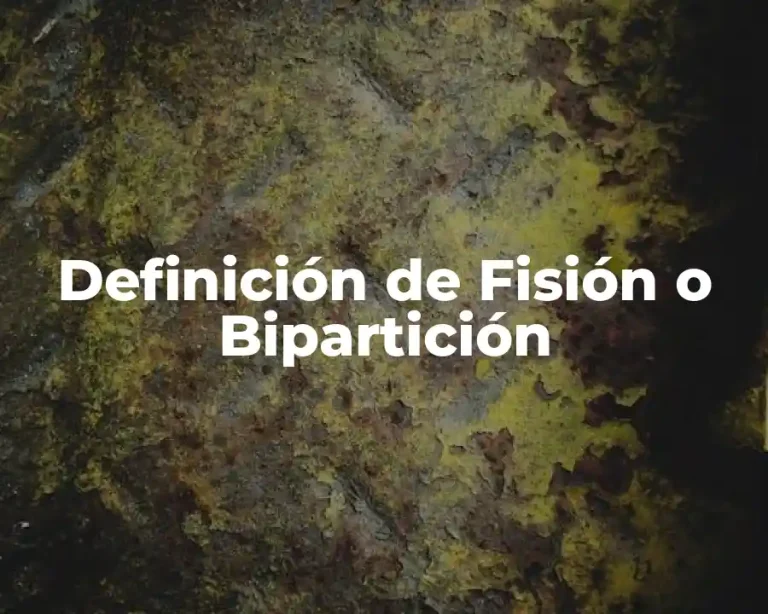 Definición de Fisión o Bipartición