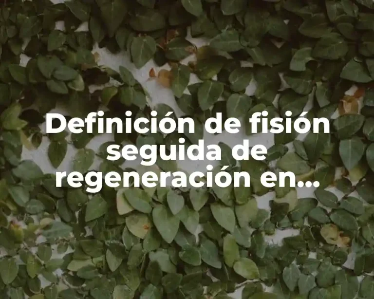 Definición de fisión seguida de regeneración en biología