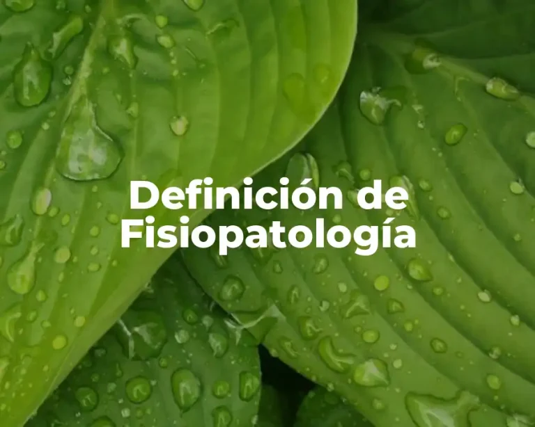 Definición de Fisiopatología