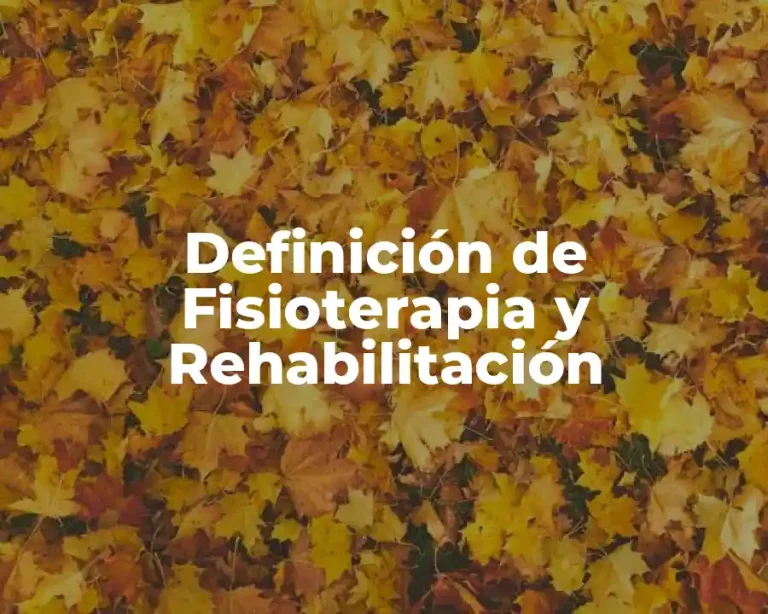 Definición de Fisioterapia y Rehabilitación