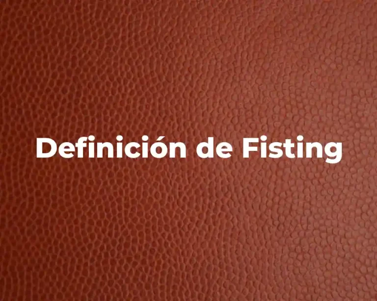 Definición de Fisting