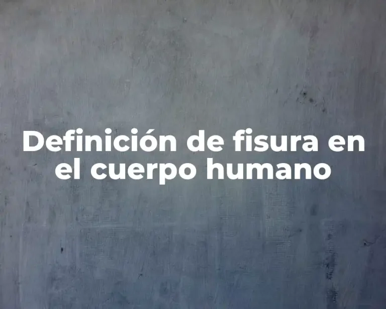 Definición de fisura en el cuerpo humano