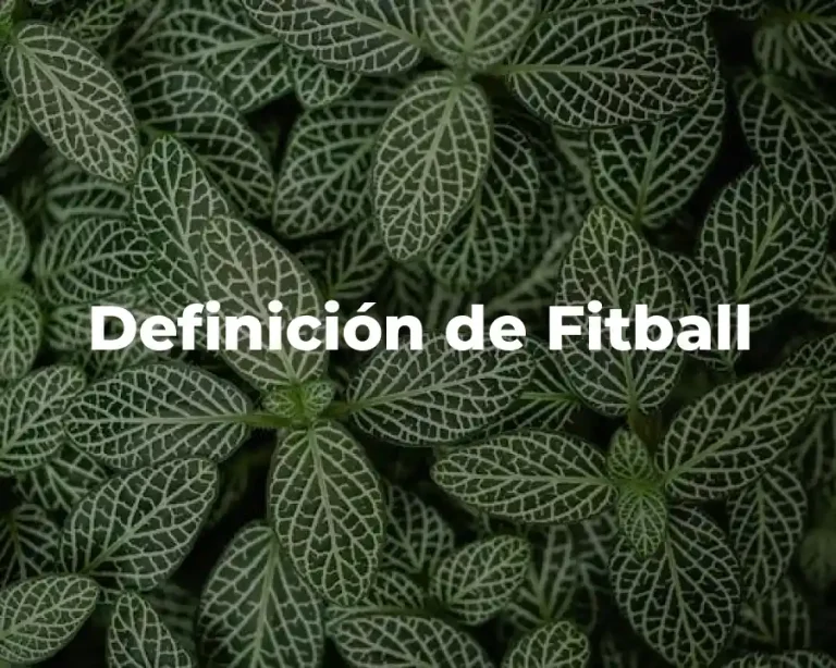 Definición de Fitball