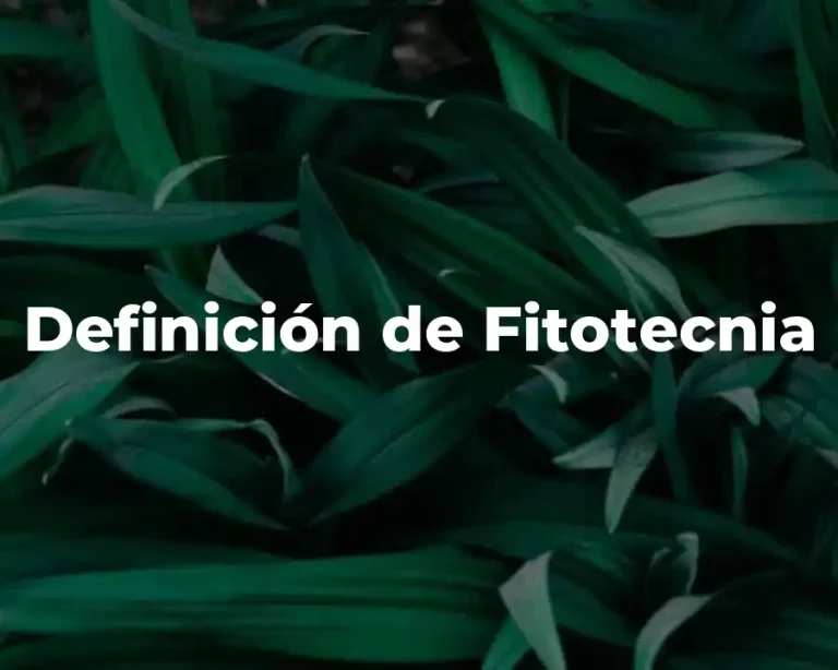 Definición de Fitotecnia