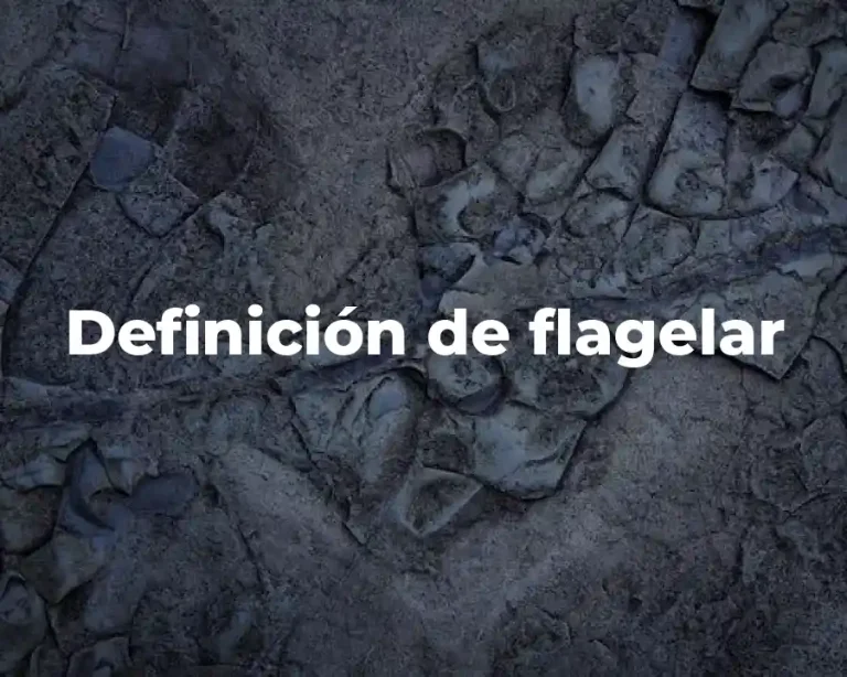 Definición de flagelar