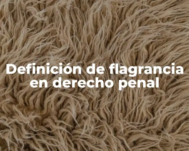 Definición de flagrancia en derecho penal