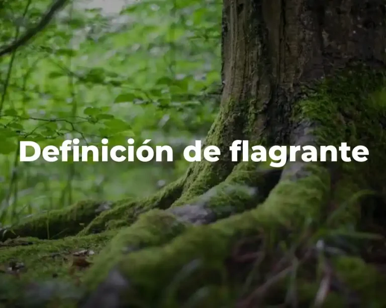 Definición de flagrante