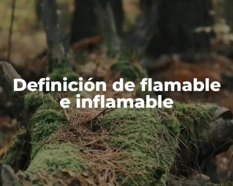 Definición de flamable e inflamable
