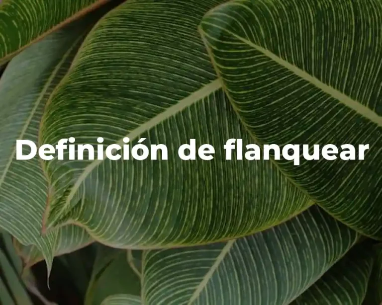 Definición de flanquear