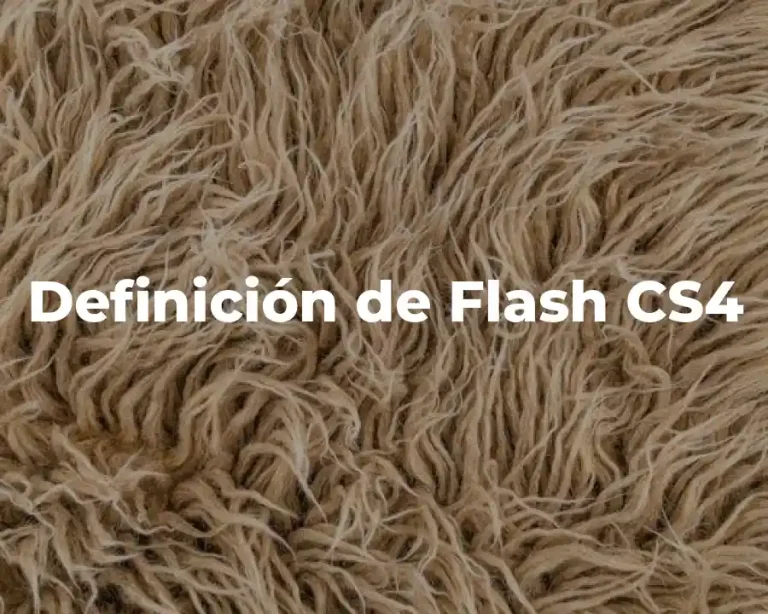 Definición de Flash CS4