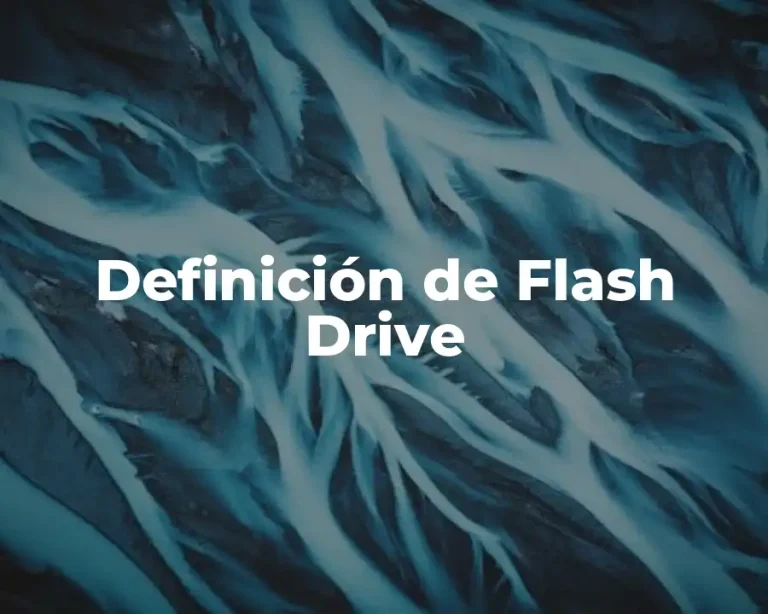 Definición de Flash Drive