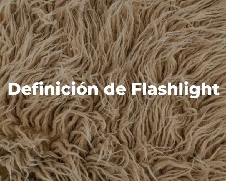 Definición de Flashlight