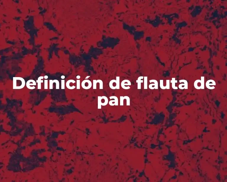 Definición de flauta de pan