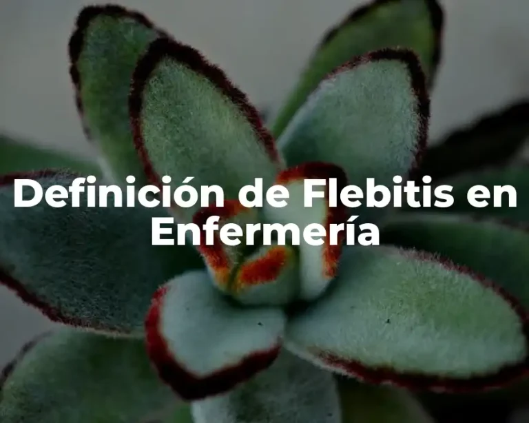 Definición de Flebitis en Enfermería