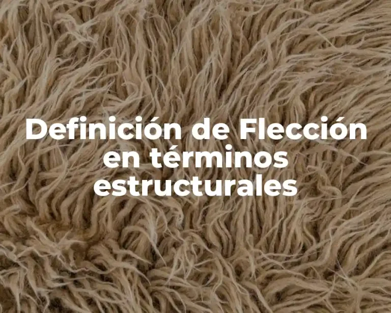 Definición de Flección en términos estructurales