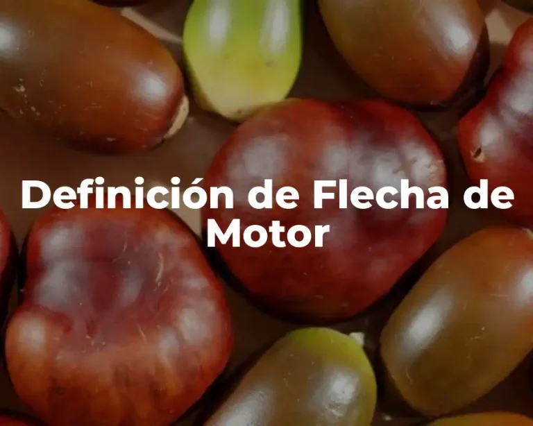 Definición de Flecha de Motor