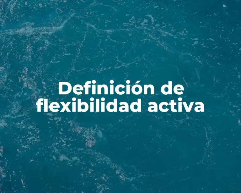 Definición de flexibilidad activa