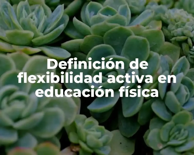 Definición de flexibilidad activa en educación física