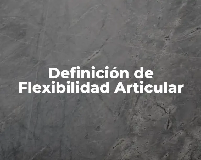 Definición de Flexibilidad Articular