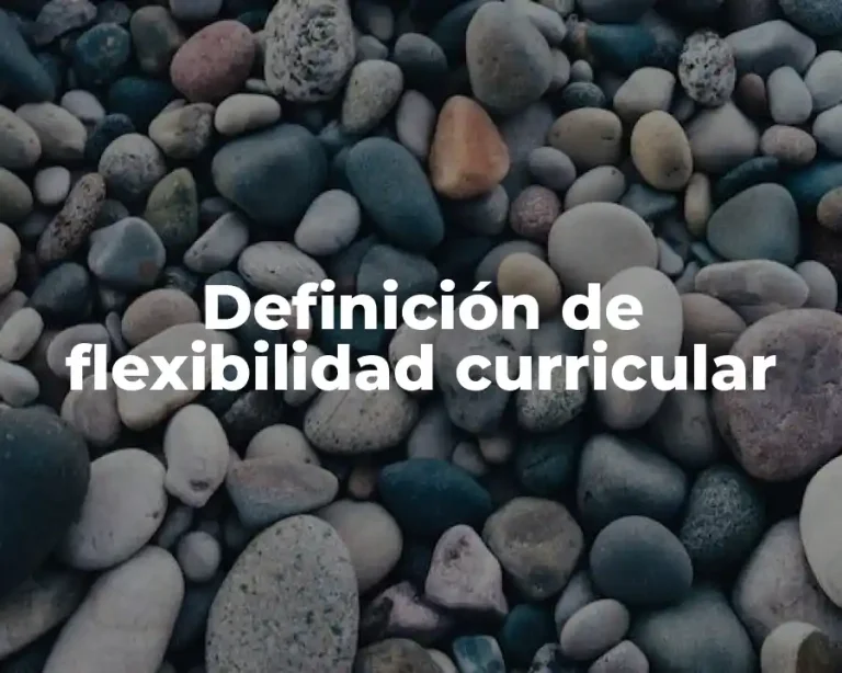 Definición de flexibilidad curricular