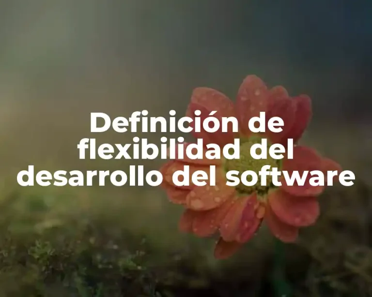 Definición de flexibilidad del desarrollo del software