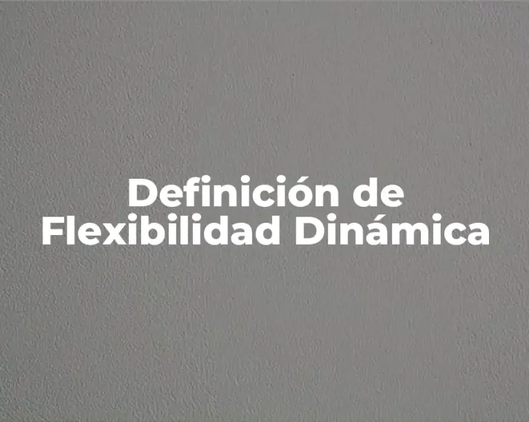 Definición de Flexibilidad Dinámica