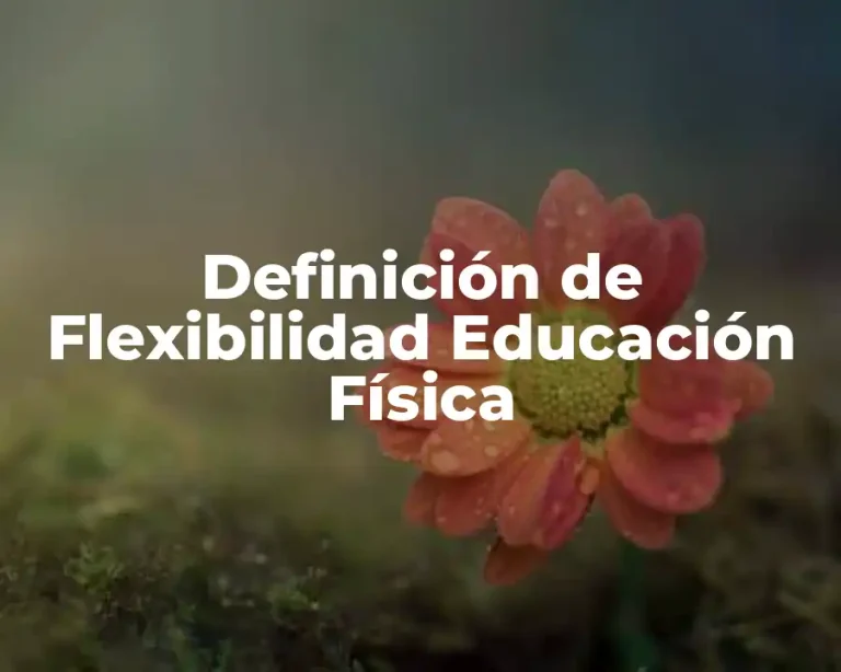Definición de Flexibilidad Educación Física